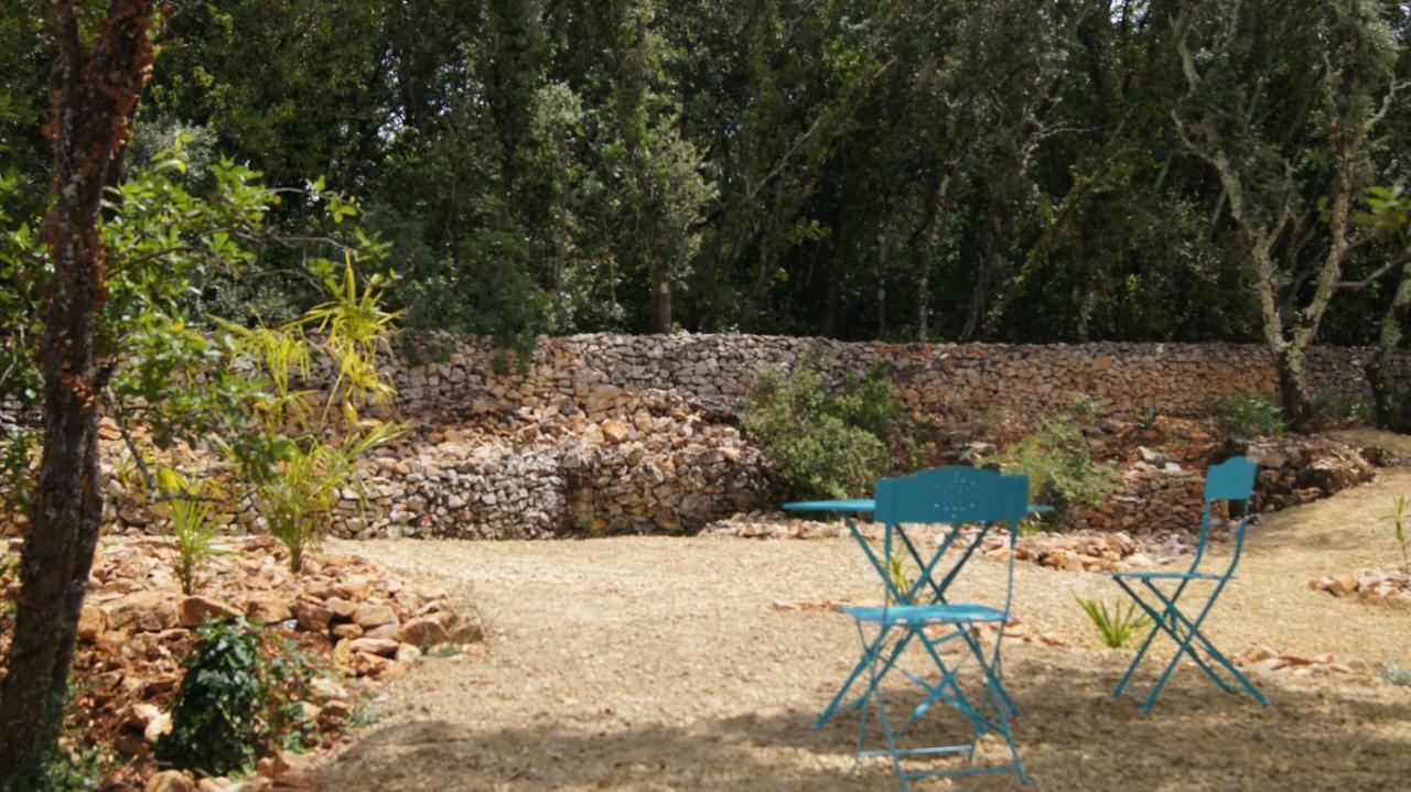 Villa Retour Aux Sources Sauve Exterior foto